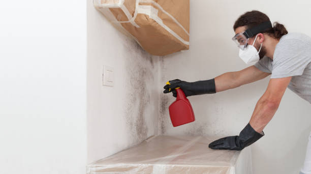 Professional Mold Cleanup technician working in West Hempstead, NY